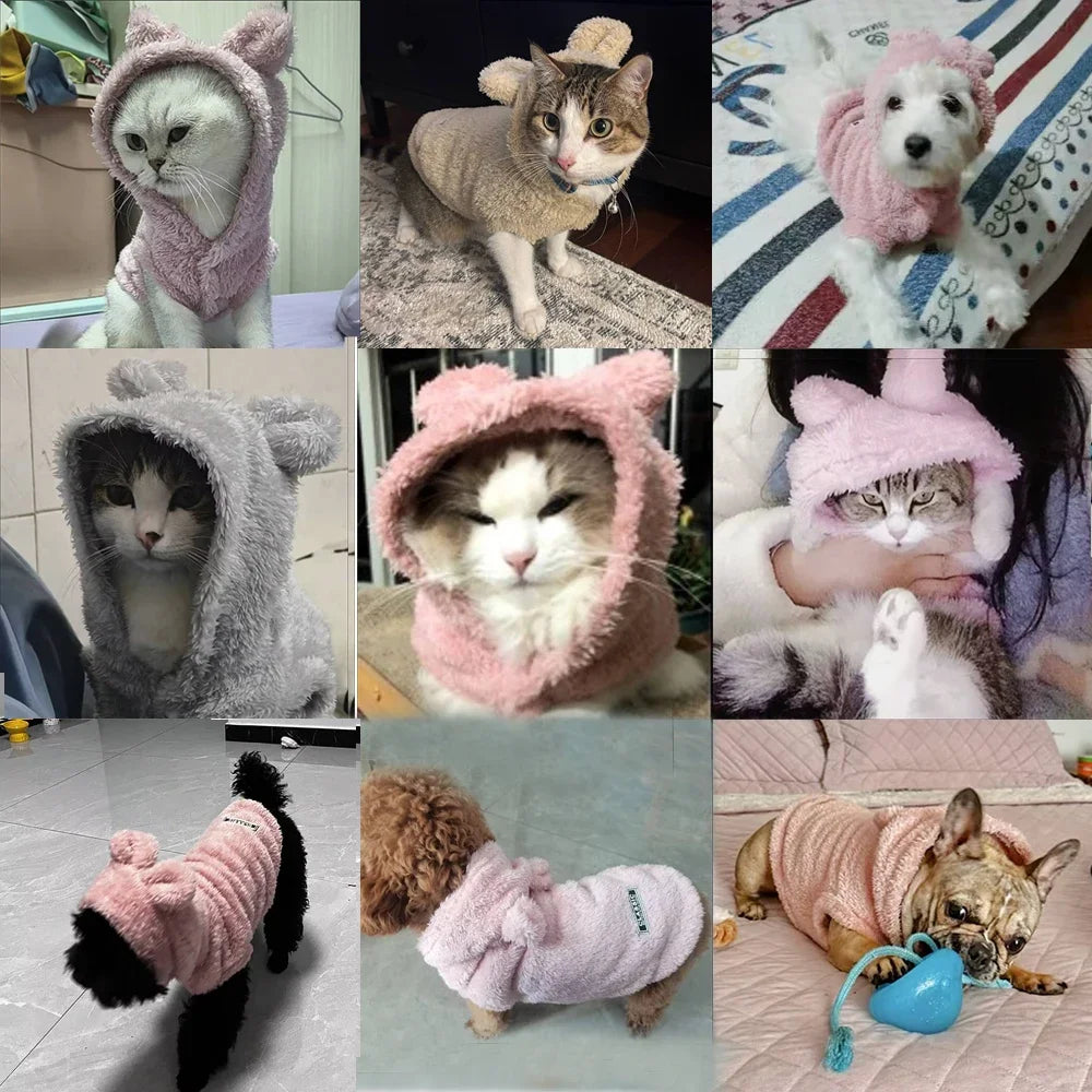 Abrigo con capucha para gatos pequeños y medianos